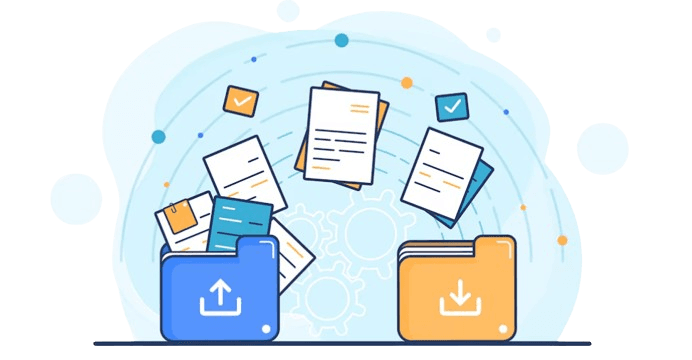 Your Company